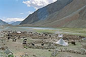 Ladakh - groups of nomadic along the road to Pangong Tso